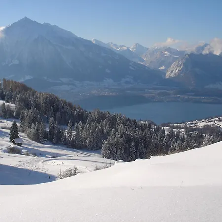 Sunneschyn アパート