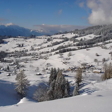 アパート Sunneschyn Schwanden