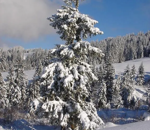 Lejlighed Sunneschyn