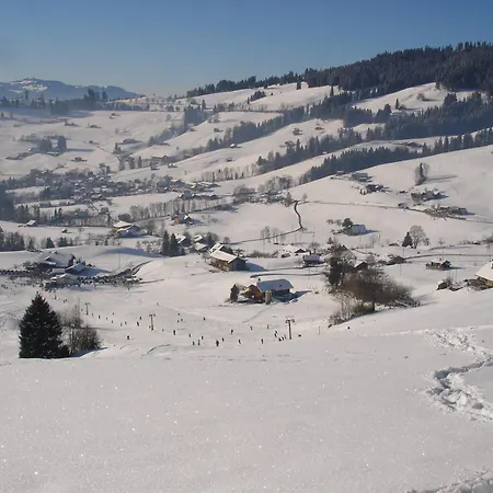 Sunneschyn